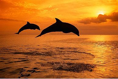 科隆：《苍穹浩瀚》游戏版公布 2023夏季推出