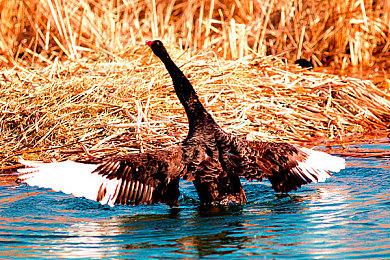 《星空》发布1.14.74测试版更新 Xbox Series X恢复无上限帧率